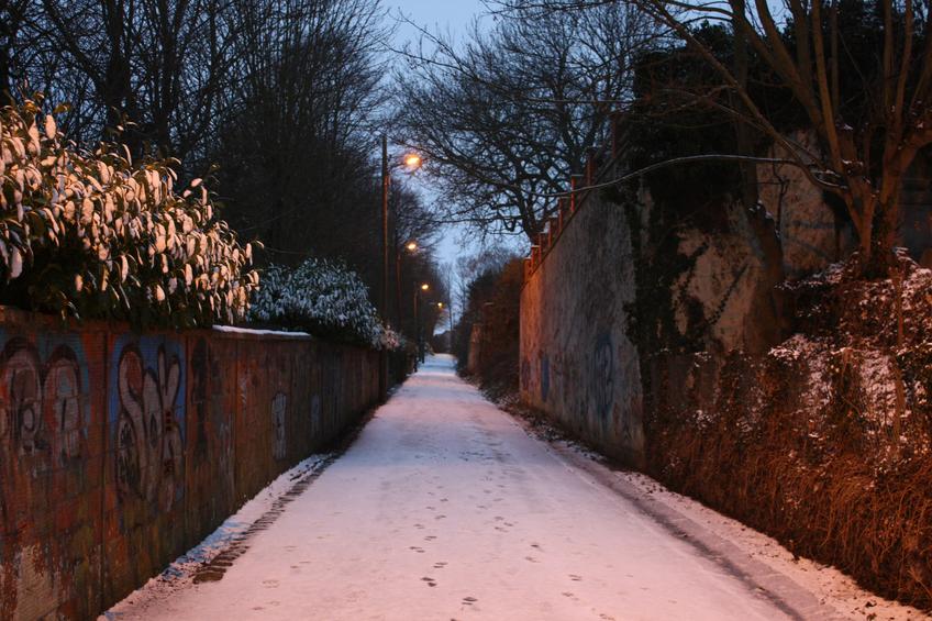 Snowy Lane — Photo 65 — Project 365